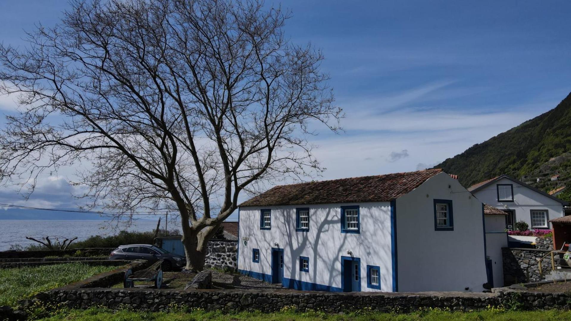 Casas Dos Vimes Βίλα Faja dos Vimes Εξωτερικό φωτογραφία